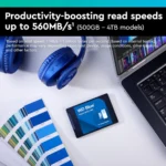 WD Blue SA510 500GB – SSD SATA 2.5” Affidabile, fino a 560 MB/s Lettura, 510 MB/s Scrittura, Veloce e Ideale per PC e Notebook - immagine 6