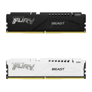 Kingston FURY Beast DDR5