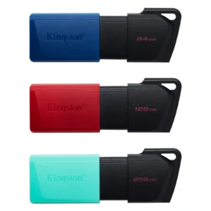 Kingston DataTraveler Exodia M