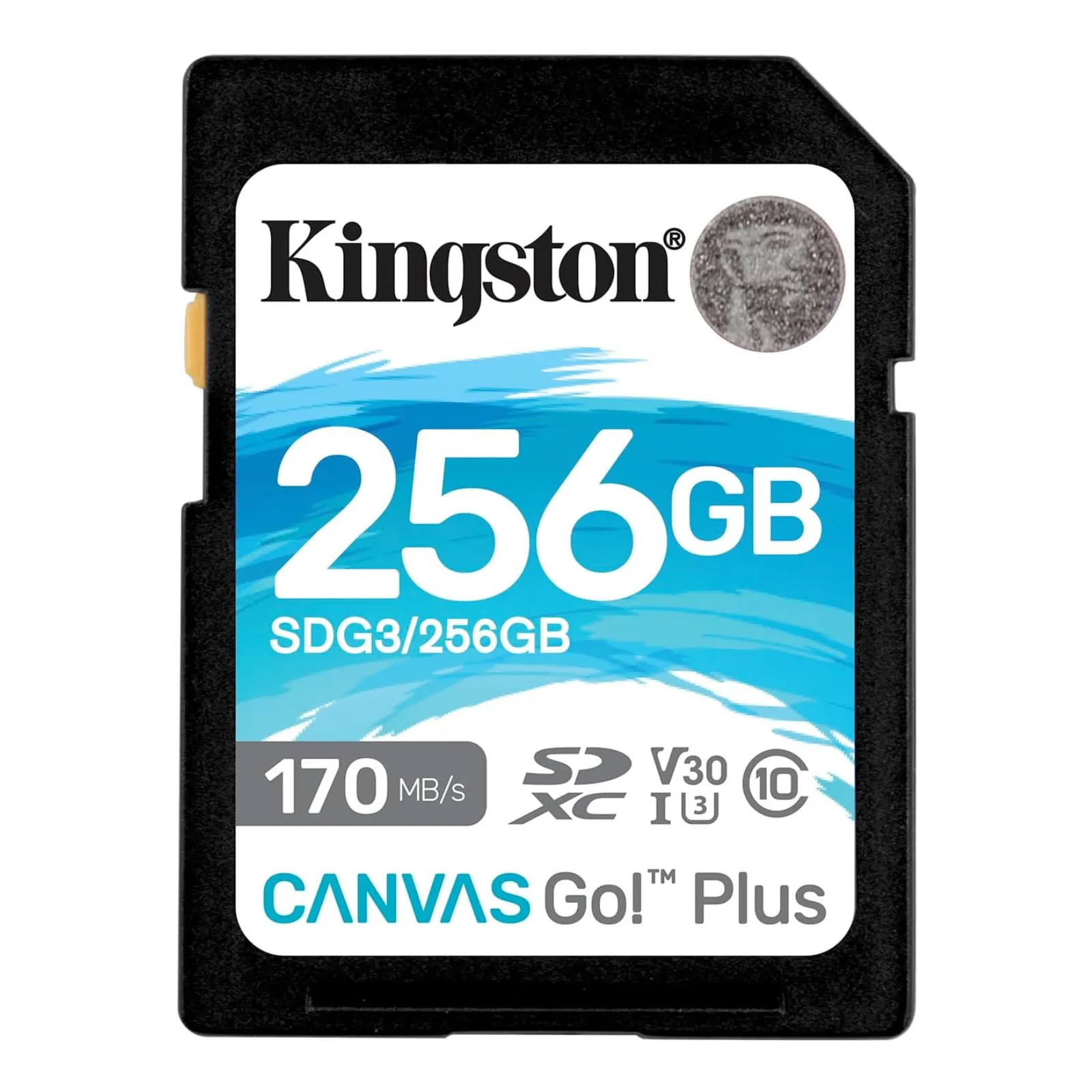 Kingston Canvas Go! Plus SD (Gen3) 256GB